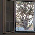 Casas Do Pargo 度假居 *