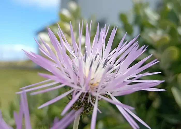 Casas Do Pargo Ferienhaus Ponta do Pargo
